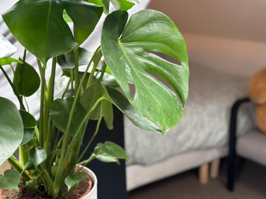 Le Belly - Fontainebleau Apartment Ngoại thất bức ảnh